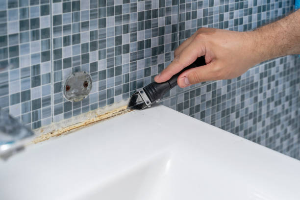 Best Commercial Mold Remediation in Federalsburg, MD